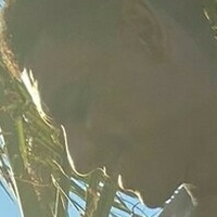 andres_stones Nøgen
